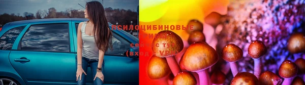 марки lsd Алзамай