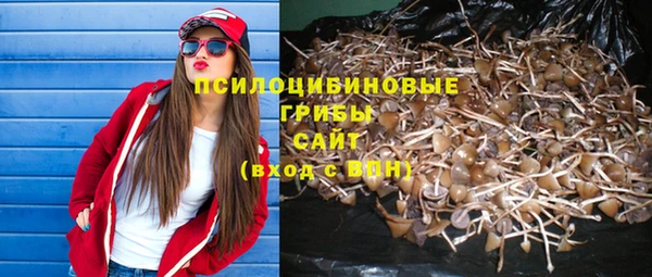 прущий лед Алексеевка