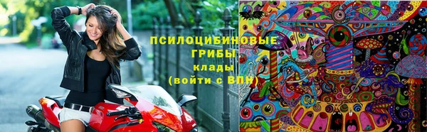 прущий лед Алексеевка