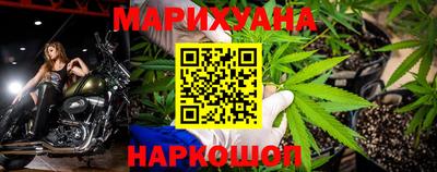 стаф Кунгур