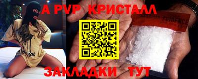 стаф Кунгур