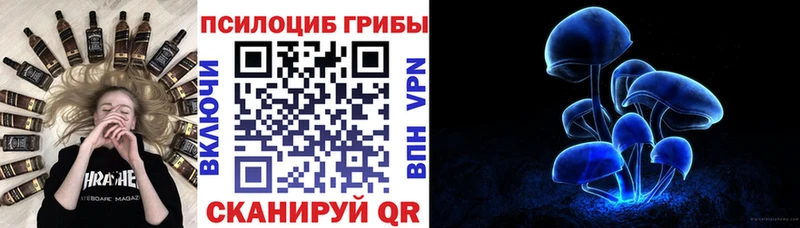 Галлюциногенные грибы Cubensis Набережные Челны