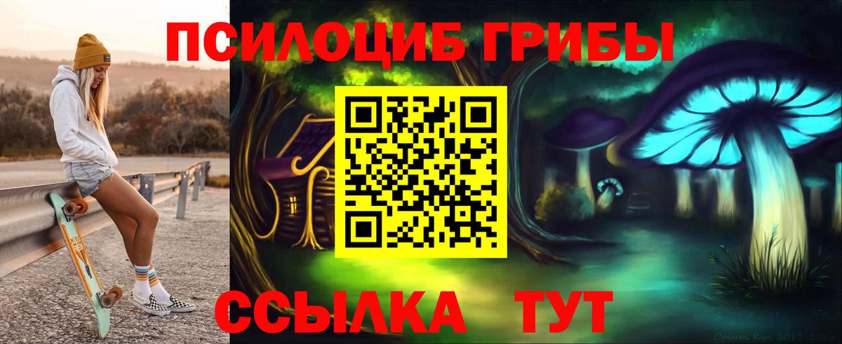 Псилоцибиновые грибы GOLDEN TEACHER  Вход с VPN  закладки  Набережные Челны 